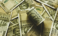 В Индии рассказали, что Россия сделала с «зависшими» в республике рупиями
