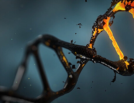 Создан тест для выявления наследственных мутаций в ДНК