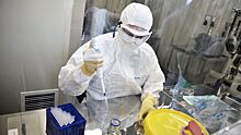 Роспотребнадзор заявил, что риск завоза и распространения лихорадки Эбола в РФ отсутствует