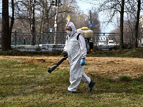 В Вологде обработано от клещей более 200 гектаров зеленых зон