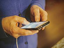 Раскрыта схема мошенников с использованием клона «Госуслуг»