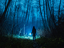 Как долго будут искать пропавших в тайге Усольцевых