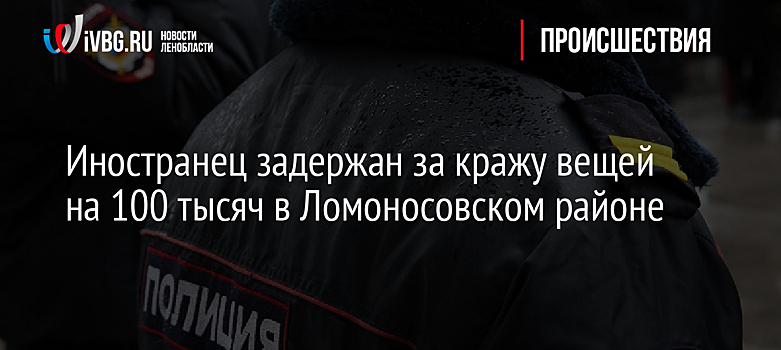 Иностранец задержан за кражу вещей на 100 тысяч в Ломоносовском районе