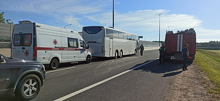 Под Петербургом автобус из Таллина столкнулся с «ГАЗелью»: погибли два человека