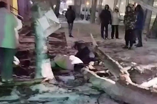 Во Владимирской области упавшее дерево травмировало женщину и мужчину