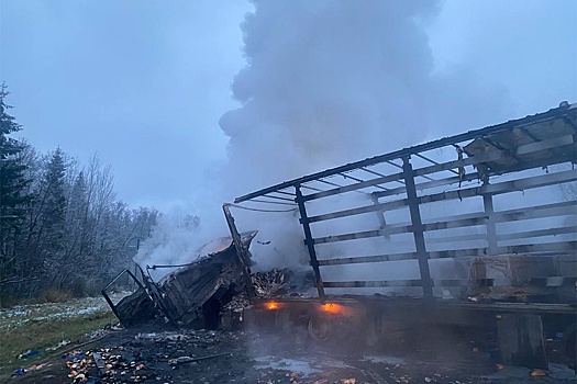 Один человек погиб при возгорании двух фур после ДТП в Новгородской области