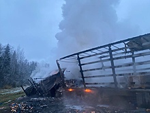 Один человек погиб при возгорании двух фур после ДТП в Новгородской области