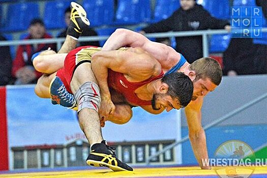 Дагестанские борцы лидировали во всех весах на чемпионате СКФО