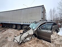 В Орловском районе в ДТП с грузовиком пострадали 2 человека
