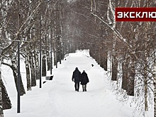 «Морозы никуда не денутся»: москвичей предупредили о холодах на всю неделю