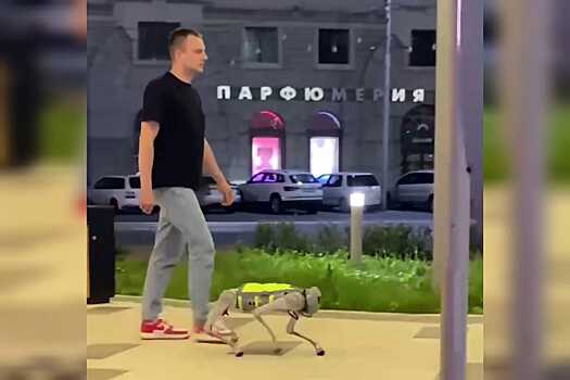 Официант-робопес Серега из новосибирского кафе вызвал волну хейта
