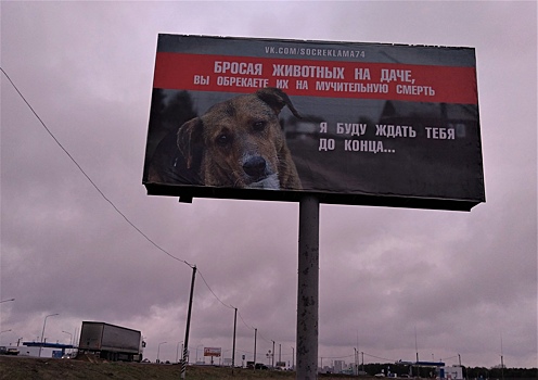Челябинску нужно больше социальной рекламы, чтобы люди перестали быть НЕлюдями