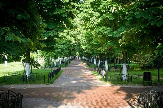 В 2020 году в Серпухове будет проведена реконструкция двух парков