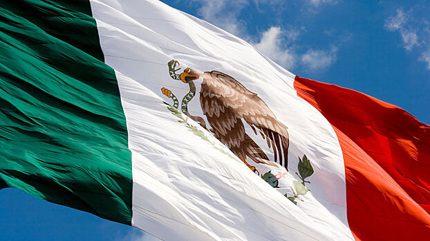 Россия выступила с обращением к властям Мексики