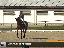 В Нижнем Новгороде прошел Кубок губернатора по выездке