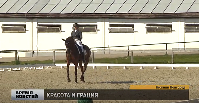 В Нижнем Новгороде прошел Кубок губернатора по выездке