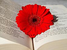 В Преображенском расскажут о любовной лирике Маяковского