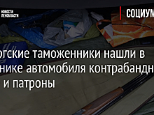Выборгские таможенники нашли в багажнике автомобиля контрабандные ружье и патроны