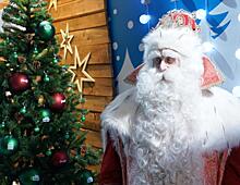 «Становитесь сами волшебниками»: главный Дед Мороз России ответил на вопросы детей