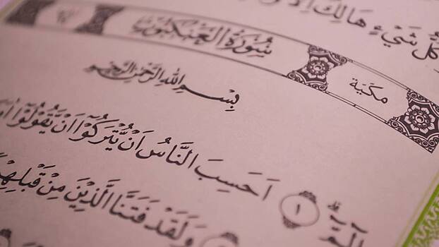 Обвиняемый в сожжении Корана Журавель заявил, что изучает священную книгу