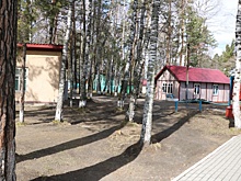 В Новосибирской области более тысячи организаций примут детей на отдых