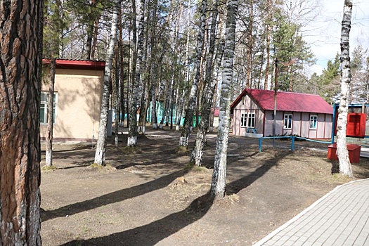 В Новосибирской области более тысячи организаций примут детей на отдых
