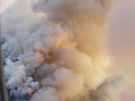Пожароопасный сезон объявили в Чите и в двух районах края