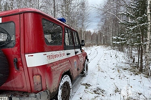 Поиски с воздуха пропавшей в Сибири семьи остановили из-за непогоды