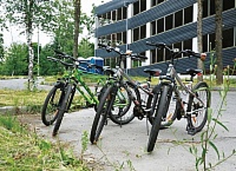 Префектура Зеленограда направила письмо в столичный департамент транспорта о возможности установки в округе станций велопроката