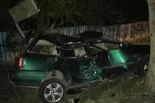 В Багратионовском районе водитель погиб при столкновении с деревом