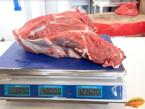 Прокуратура Башкирии начала проверку из-за поставок зараженного бактериями мяса в больницы