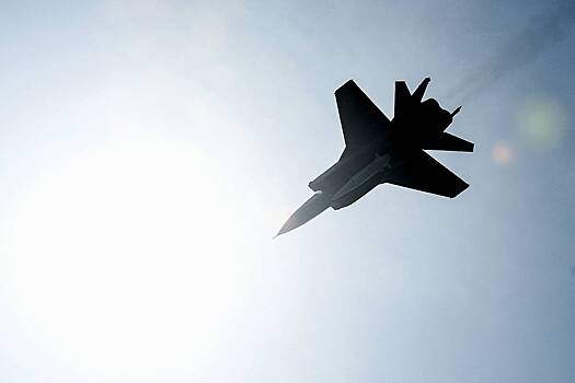 Вербовщик обещал российскому пилоту пиво и пышногрудых барышень за угон МиГ-31