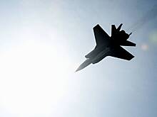 Вербовщик обещал российскому пилоту пиво и пышногрудых барышень за угон МиГ-31