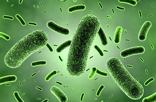 Учёные предупредили о грозящих человечеству супербактериях