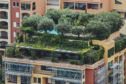 Запросы на жизнь у природы в Москве выросли в полтора раза за год