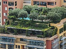 Запросы на жизнь у природы в Москве выросли в полтора раза за год