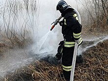 В горах Ингушетии потушили пожар, из-за которого эвакуировали 100 человек