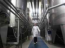 Россельхознадзор не снимет ограничения на продукцию из Турции