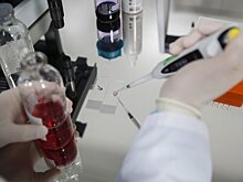 СВР: Еврочиновники пытаются дискредитировать российскую вакцину от COVID-19