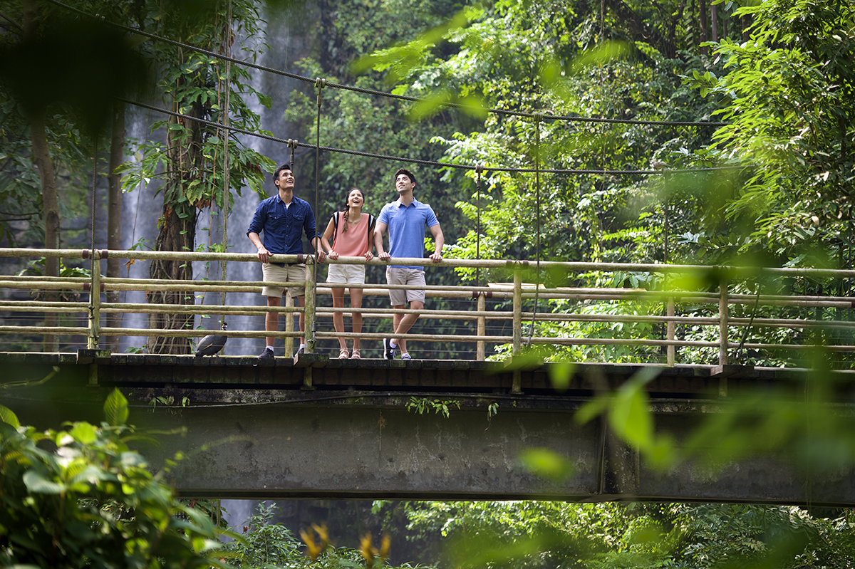 Парк птиц Джуронг, Сингапур, Азия