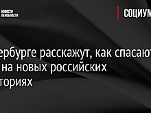 В Петербурге расскажут, как спасают детей на новых российских территориях
