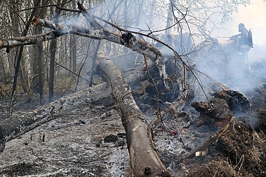 Службам, которые тушат лесные пожары, не хватает болотоходов, насосов и людей