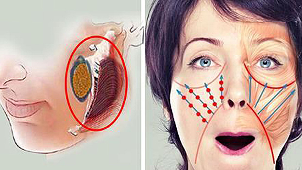 Обвисшие щеки не красят женщину! Это поможет вернуть упругий овал лица…