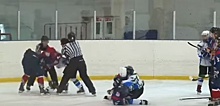 Хоккеистки красноярской «Бирюсы» подрались с соперницами на льду