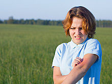 Дачный сезон в России сильно портят комары