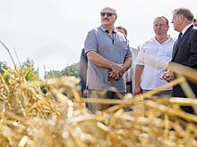 Лукашенко объяснил решение Беларуси не экспортировать зерно