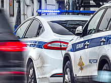 В магазинах Москвы нашли партию опасных для жизни игрушек