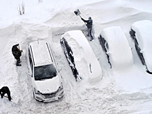 Названы самые угоняемые кроссоверы в России