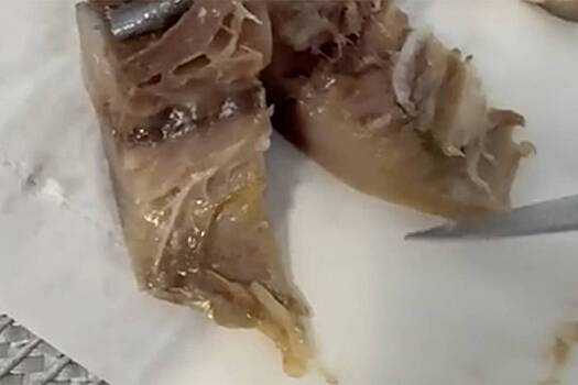 В «Дикси» отказались возвращать жительнице Подмосковья деньги за рыбу с червями