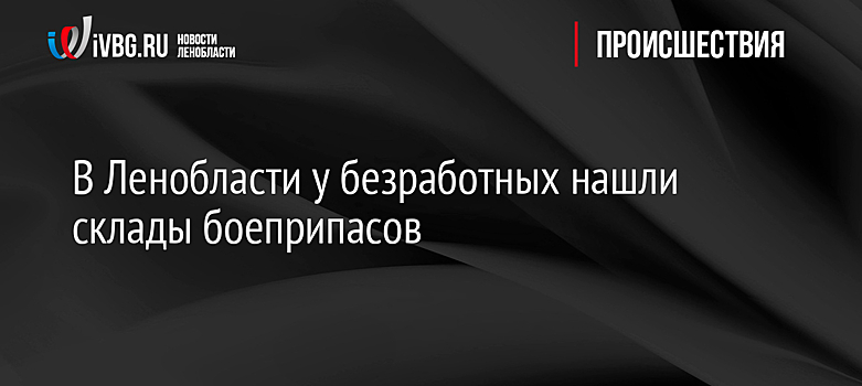 В Ленобласти у безработных нашли склады боеприпасов